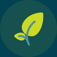 Leaf on a stem, icon